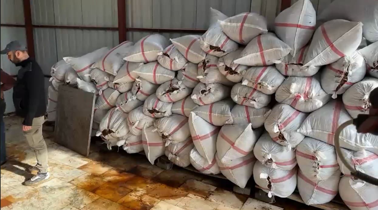 Hasat sonrası depomuzda bekleyen sığla kabuğu çuvalları